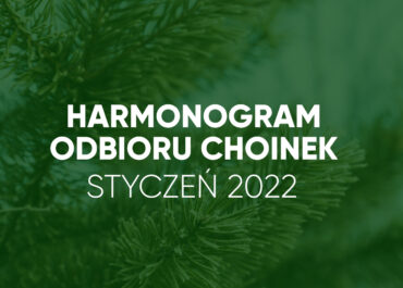 Harmonogram odbioru choinek - styczeń 2022